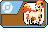 More information about "PONYTA"