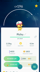 Pichu (Ash Original Cap)