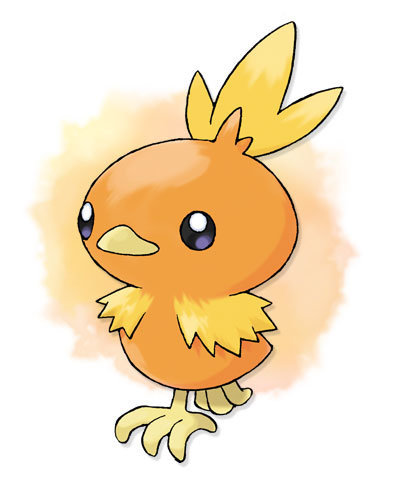 More information about "XY Torchic"