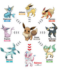 Eevee-Infographic-Pokemon-X-and-Y_en.jpg