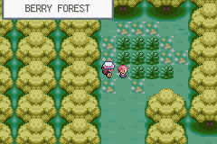 ホットオンライン  3点セット 城 castle Ghost's forest, Berry's ポケモンカードゲーム