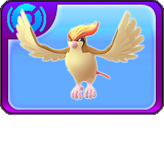 More information about "018 - Pidgeot"