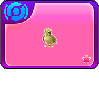 More information about "Route 14 Shiny Pidgey"