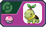 More information about "Turtwig"
