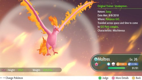Moltres Pooping In The Living Room