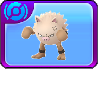 More information about "057 - Primeape"