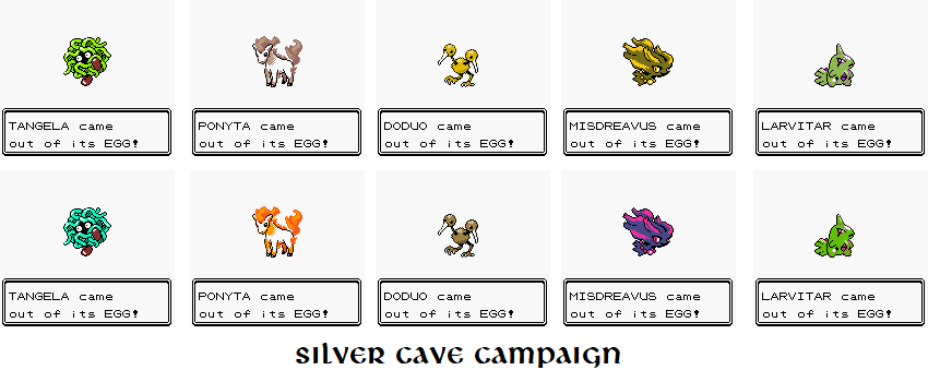 Classic: PCNY Shiny Raikou - English - Project Pokemon Forums