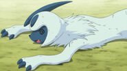 Knocked out Absol.jpg