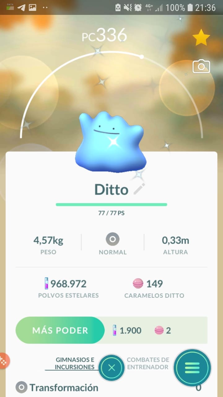 Anyone Have The Shiny Ditto From Go Tour On Pk8 Thanks Pokémon