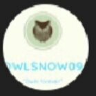 OwlSnowStorm09