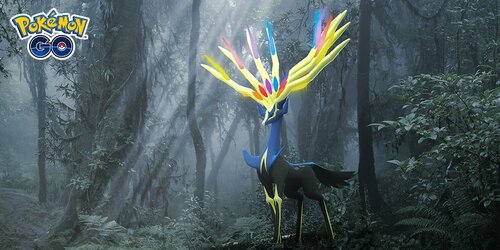 More information about "GO Xerneas"