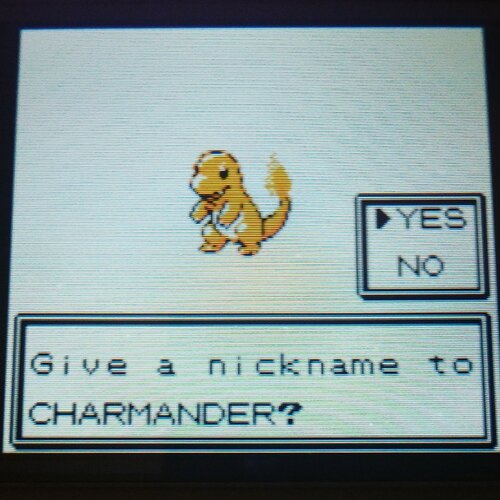 More information about "Shiny Pokémon crystal Charmander after 47 eggs."