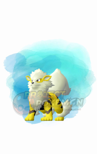 More information about "WC #0504 - Paul Shiny Arcanine"
