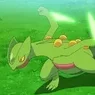 CrunchySceptile69