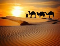 sunrise-time-camel-riding-in-dubai-desert.jpg