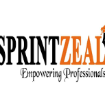 sprintzeal111