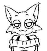 Xenor
