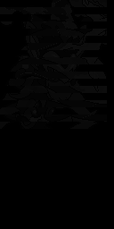 /demo/title/op_demo.narc 73 RGCN